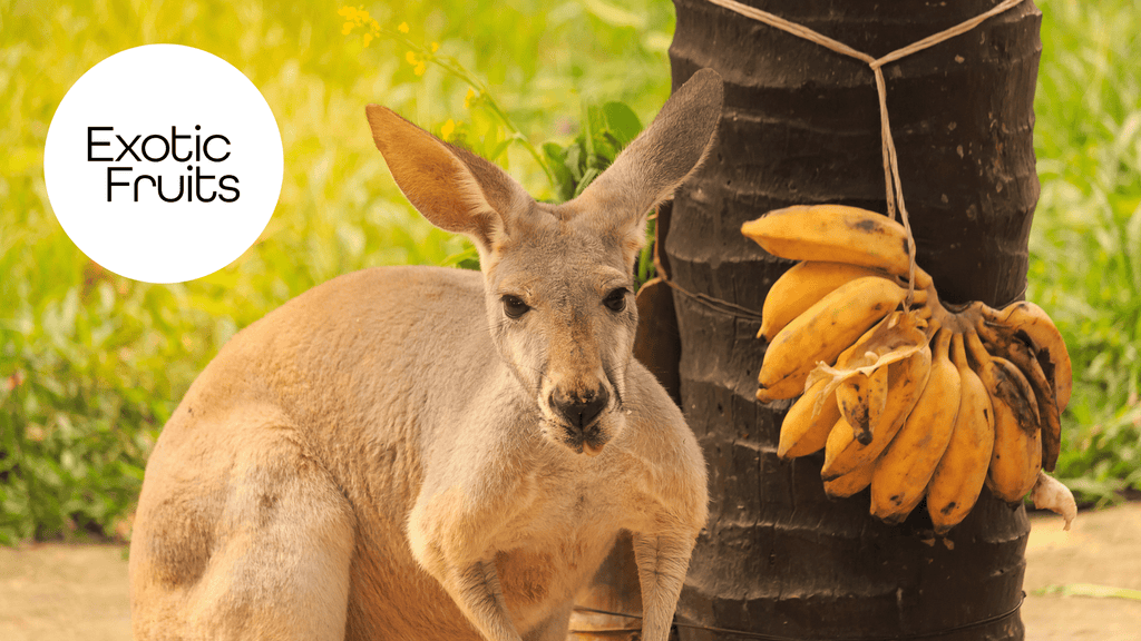 20 Exotic Fruits Found in Australia