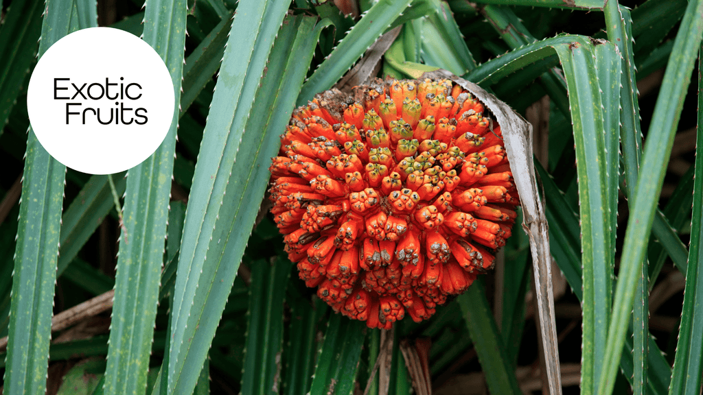 The 10 Rarest and Strangest Exotic Fruits You Need to Try