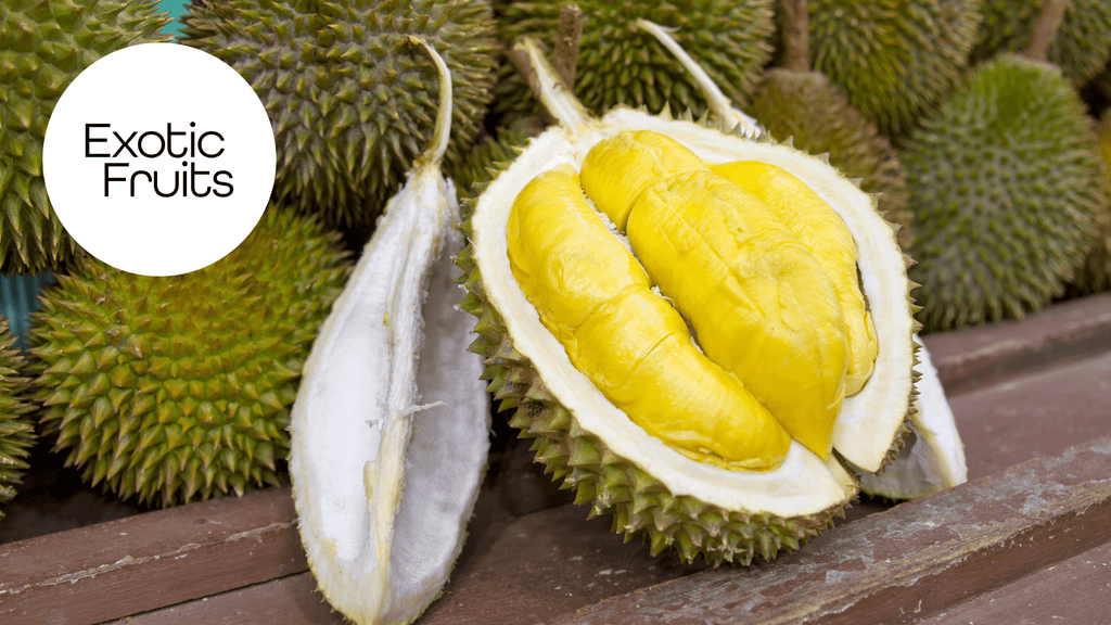 Why Does Durian Stink? The Science, Smell, and Taste of Durian