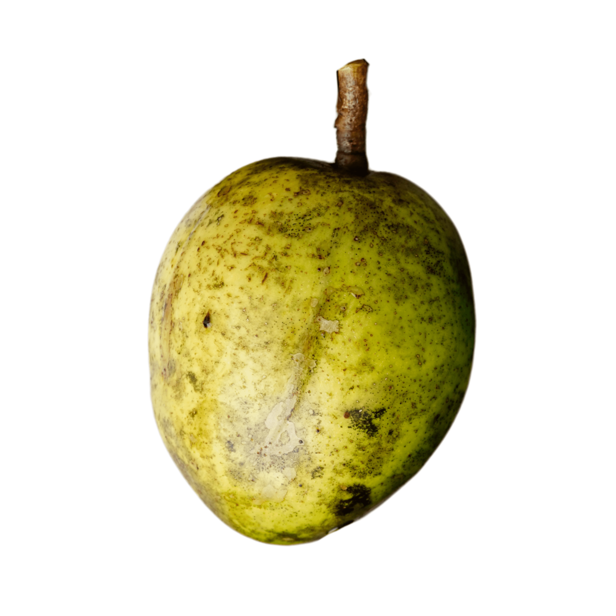 Ambarella - April Plum | Exotic Fruits - Rare & Tropical Exotic Fruit Shop UK