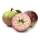 Apple - Star / Milk Fruit | Exotic Fruits - Rare & Tropical Exotic Fruit Shop UK