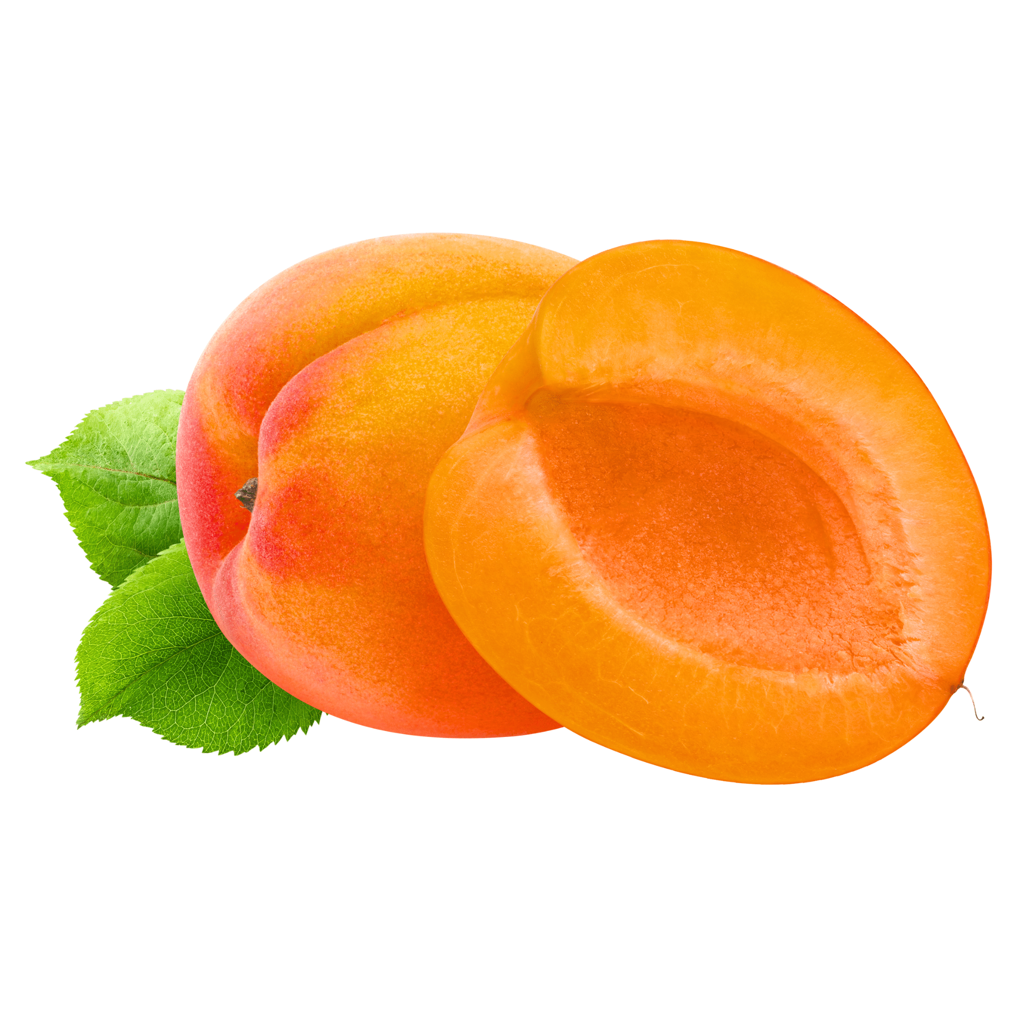 Apricot - Rougecot | Exotic Fruits - Rare & Tropical Exotic Fruit Shop UK