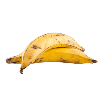 Banana - Plantain | Exotic Fruits - Rare & Tropical Exotic Fruit Shop UK