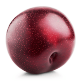 Plum - Red Beauty | Exotic Fruits - Rare & Tropical Exotic Fruit Shop UK