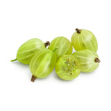 Gooseberry
