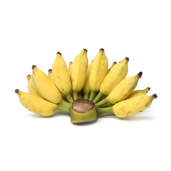 Nam Wah Bananas  Thai Banana Tropical Fruit Exotic Fresh Organic - Yahoo  Shopping