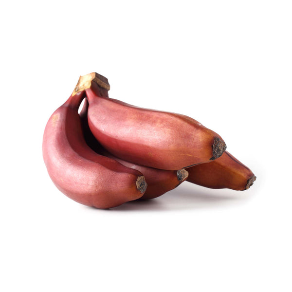 Buy Red Banana s For Sale Online Now Rare Exotic Fruits UK