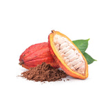 Cacao Bean / Pod | Exotic Fruits - Rare & Tropical Exotic Fruit Shop UK