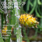 Dragon Fruit - Yellow Pitahaya | Exotic Fruits - Rare & Tropical Exotic Fruit Shop UK