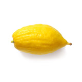 Etrog | Exotic Fruits - Rare & Tropical Exotic Fruit Shop UK