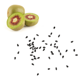 Kiwi - Red Passion Seeds
