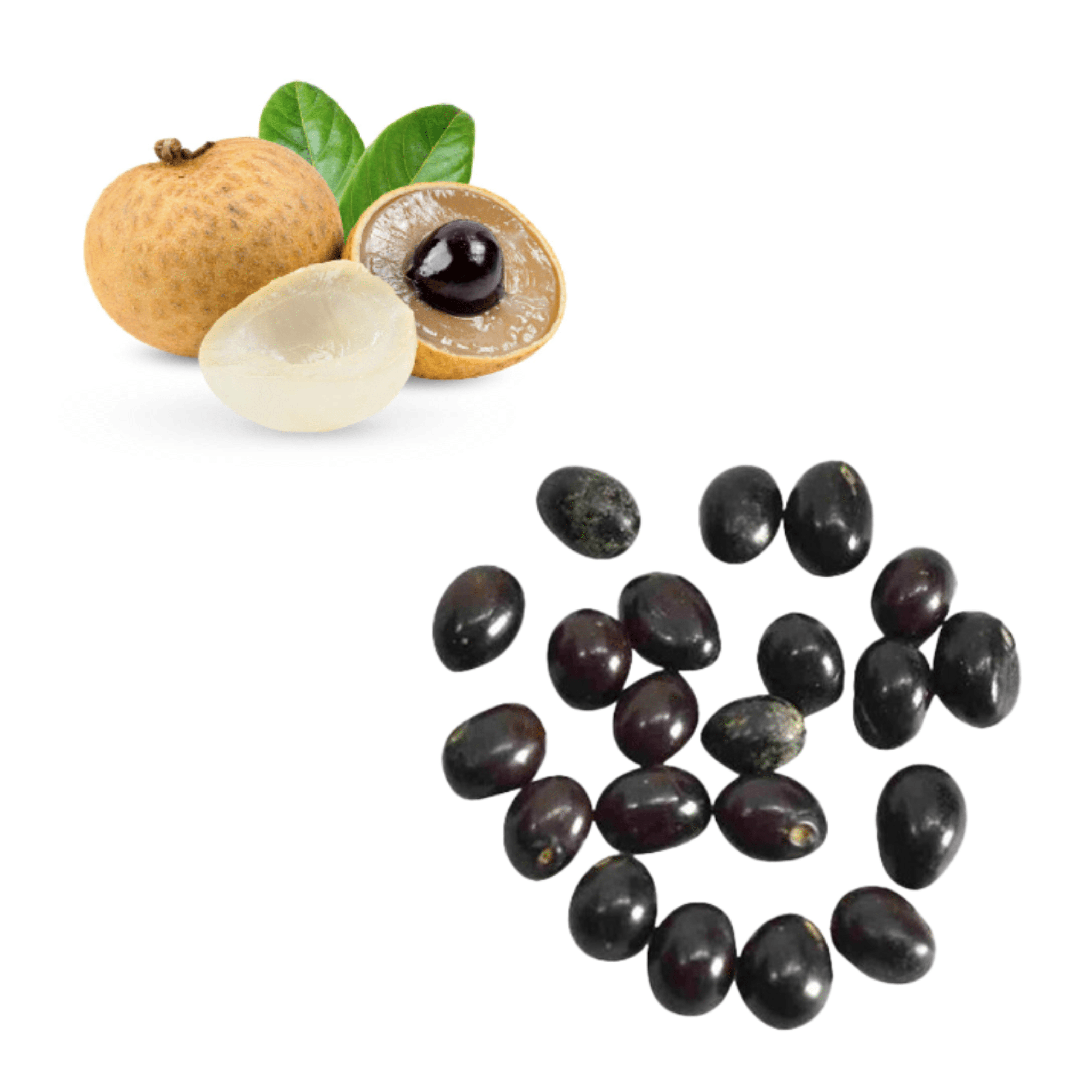 Longan Seeds | Exotic Fruits - Rare & Tropical Exotic Fruit Shop UK