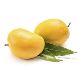 Mango - Alphonso