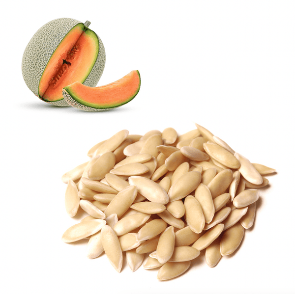 Melon Cantaloupe Seeds Exotic Fruits