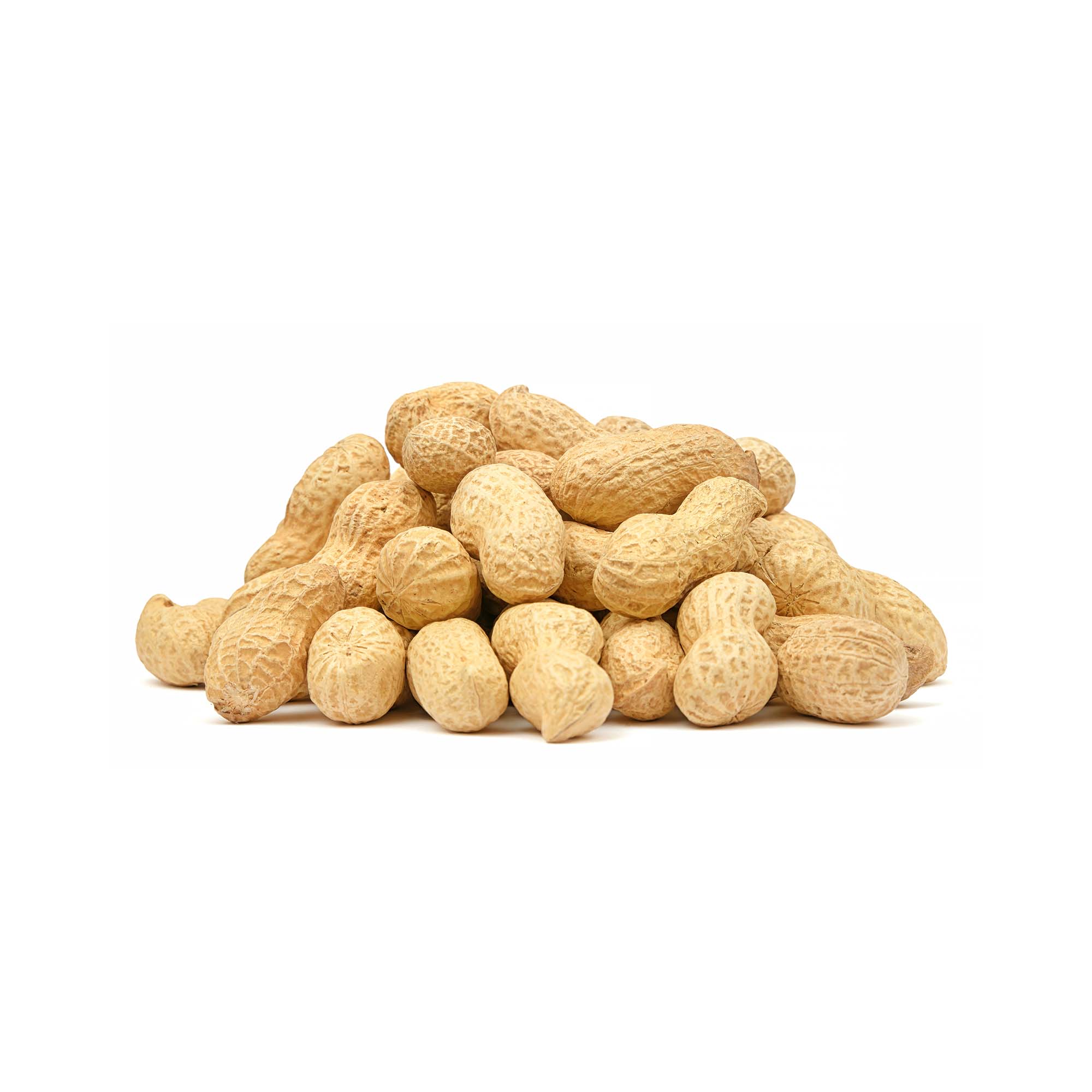 Nut - Groundnut | Exotic Fruits - Rare & Tropical Exotic Fruit Shop UK