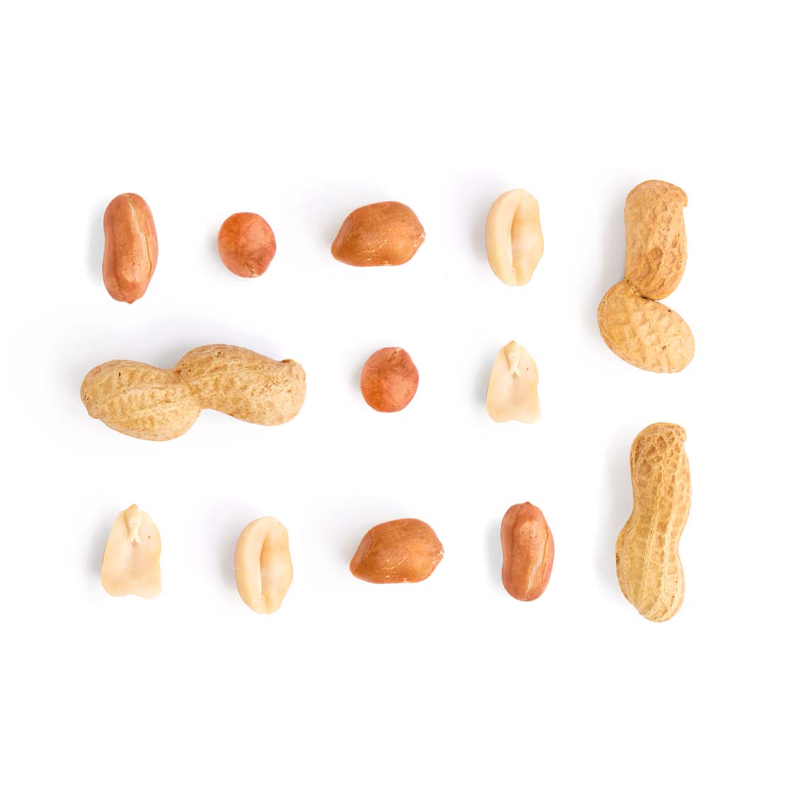 Nut - Groundnut | Exotic Fruits - Rare & Tropical Exotic Fruit Shop UK