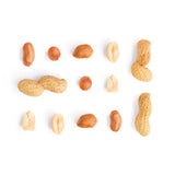 Nut - Groundnut | Exotic Fruits - Rare & Tropical Exotic Fruit Shop UK