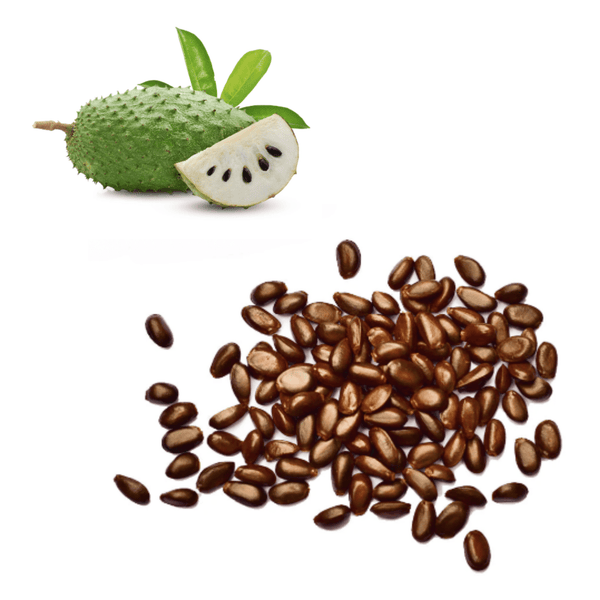 Buy Soursop Seeds For Sale Online Rare Exotic Fruit UK Exotic Fruits