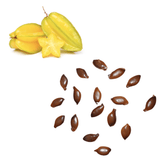 Star Fruit / Carambola Seeds