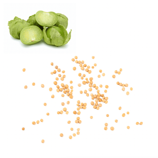 Tomatillo Seeds Exotic Fruits