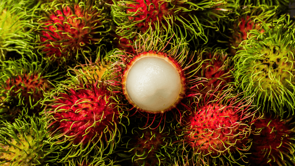 Everything You Need to Know About Rambutan