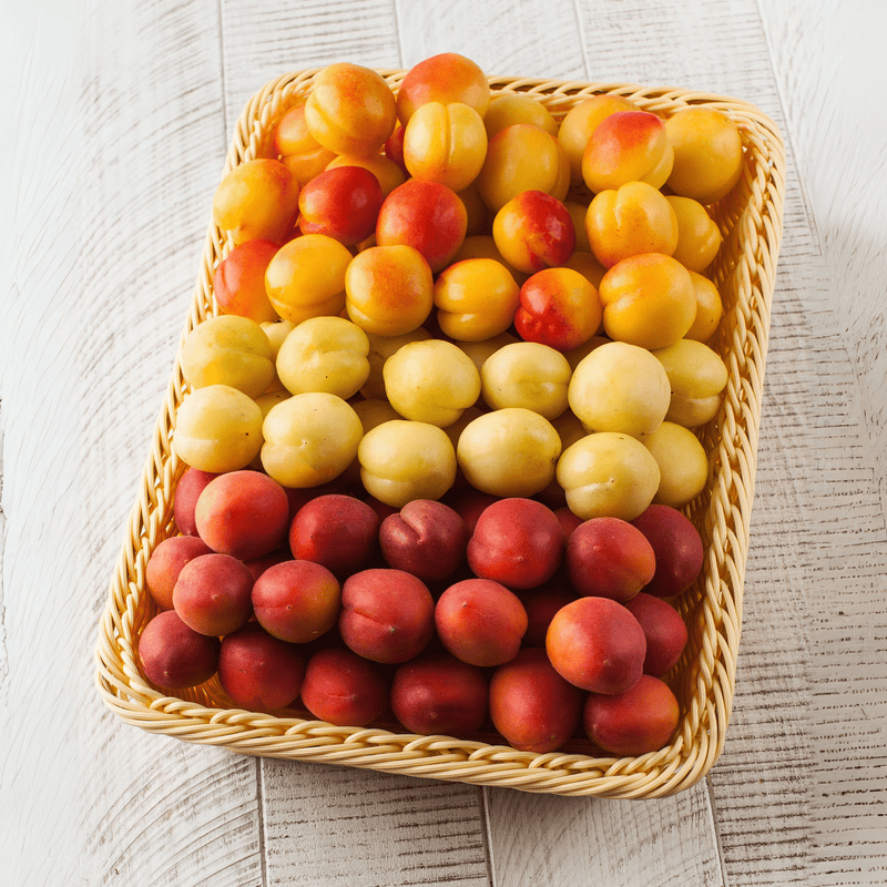 Apricot Box