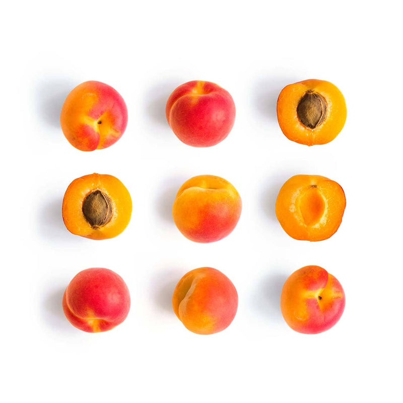 Apricot - Sunny Cot
