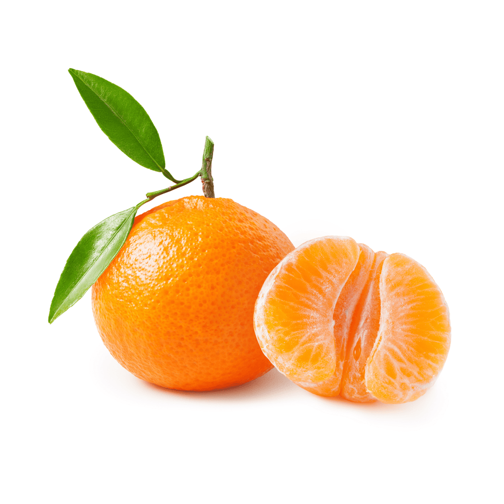 Mandarin - Clemenvilla