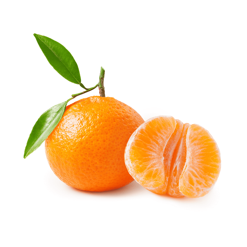 Mandarin - Clemenvilla