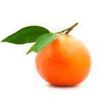 Clementine - Marisol | Exotic Fruits - Rare & Tropical Exotic Fruit Shop UK