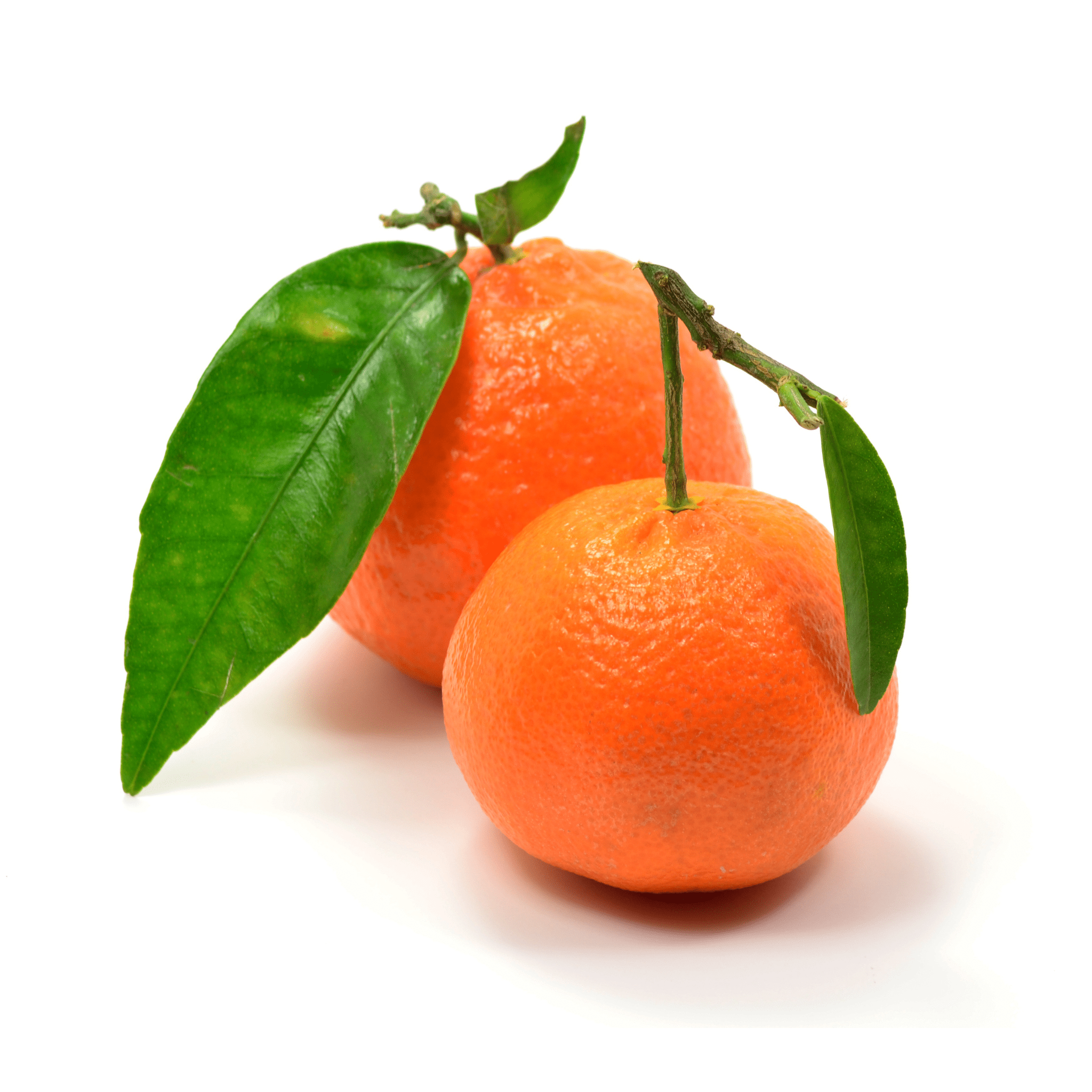 Clementine - Nules | Exotic Fruits - Rare & Tropical Exotic Fruit Shop UK