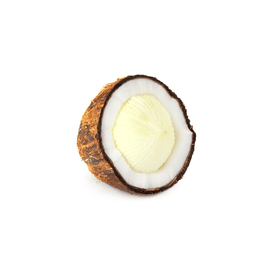 Coconut - Sprouted