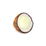 Coconut - Sprouted