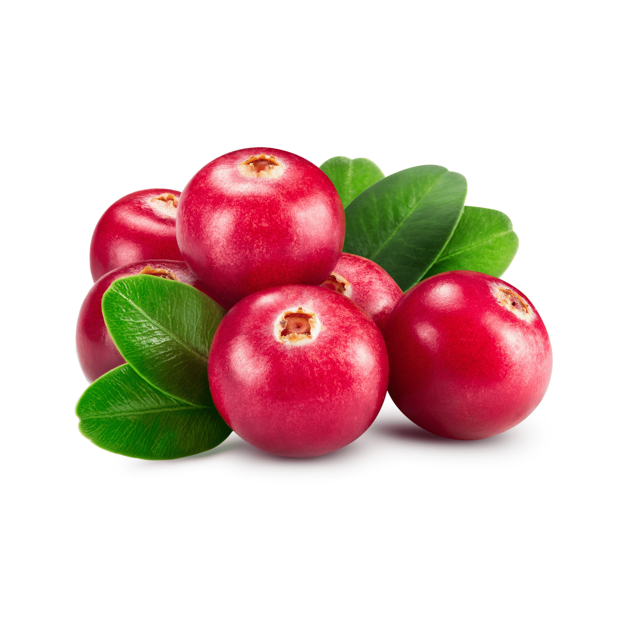 Cranberries - Fresh | Exotic Fruits - Rare & Tropical Exotic Fruit Shop UK