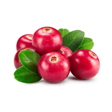 Cranberries - Fresh