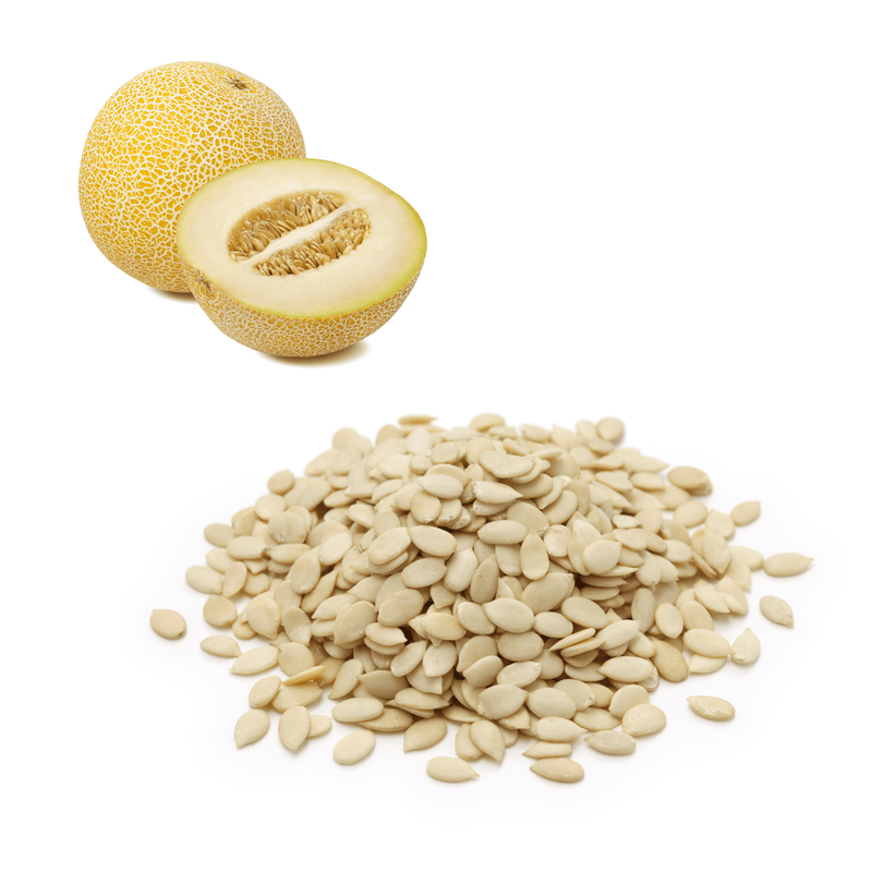 Melon - Galia Seeds