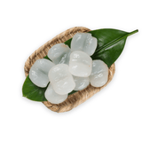 Ice Apple / Tadgola Flesh