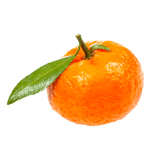 Mandarin - Tango