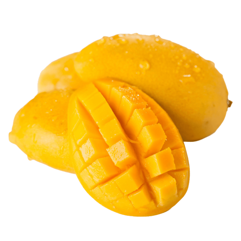 Mango - Lilly