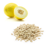 Melon - Honeydew Seeds | Exotic Fruits - Rare & Tropical Exotic Fruit Shop UK