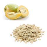 Melon - Pepino Seeds