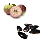 Apple - Star / Milk Fruit Seeds