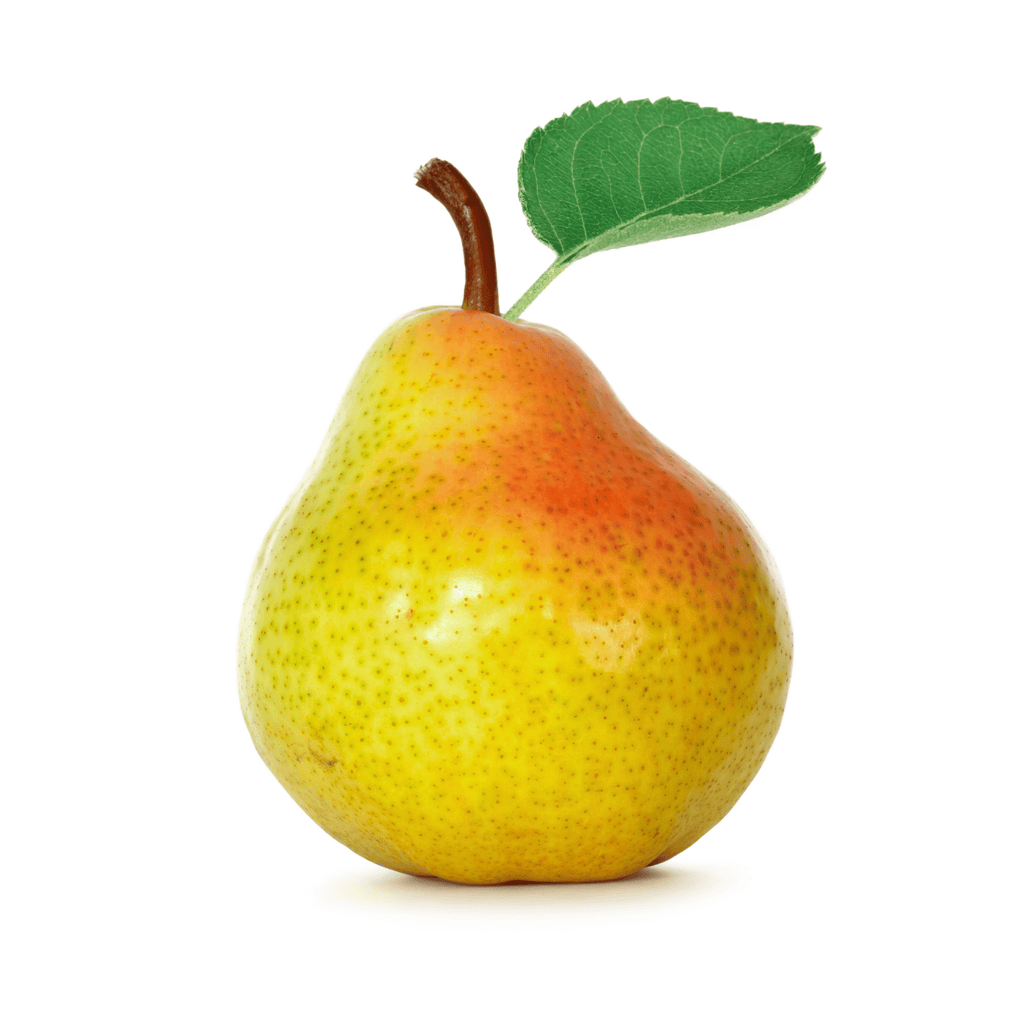 Buy Blush Pear Online Now - Rare Exotic Fruit, UK Delivery – Exotic Fruits