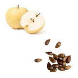 Pear - Crown Seeds | Exotic Fruits - Rare & Tropical Exotic Fruit Shop UK