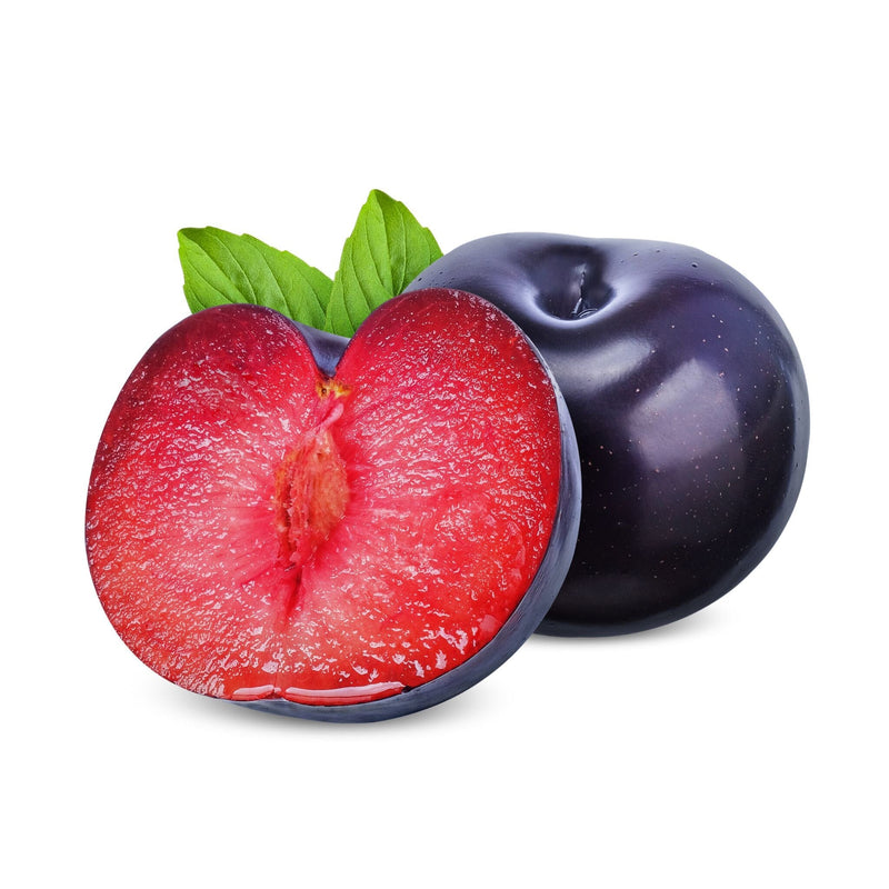 Plum - Black Splendor