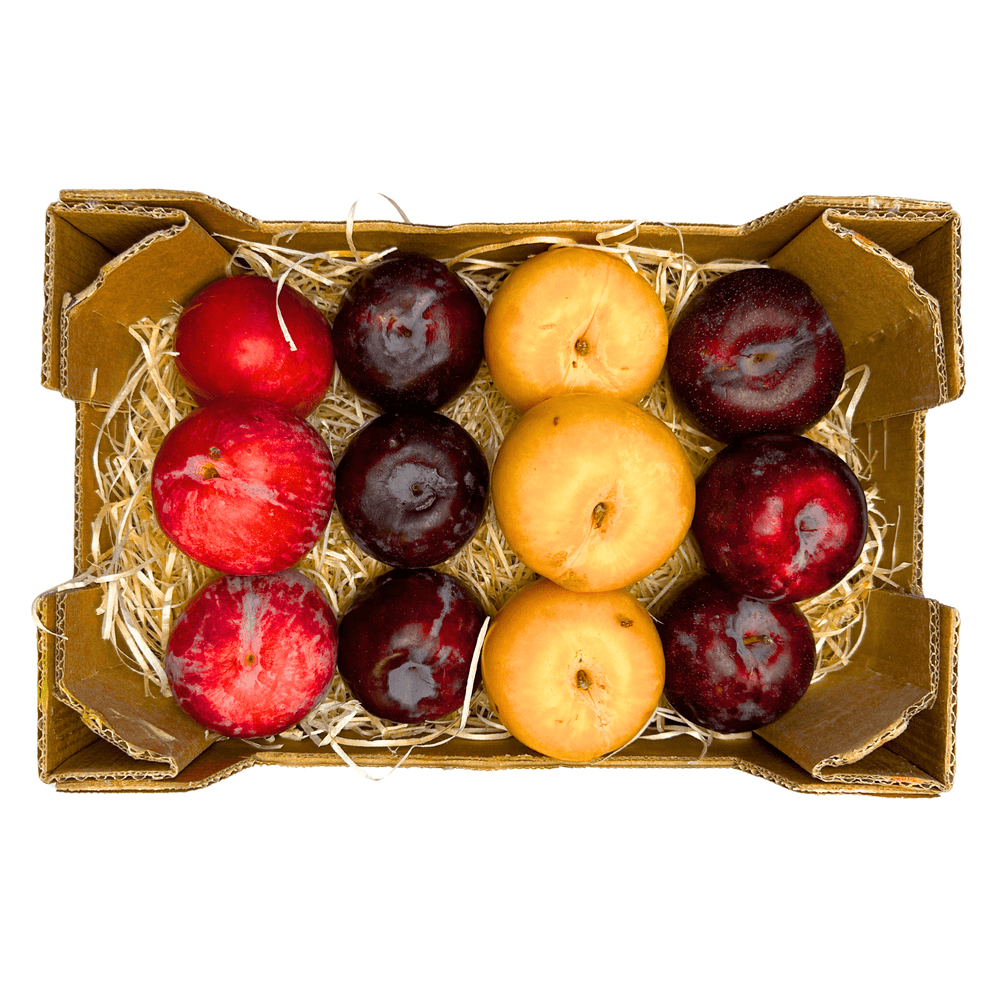 Plum Box