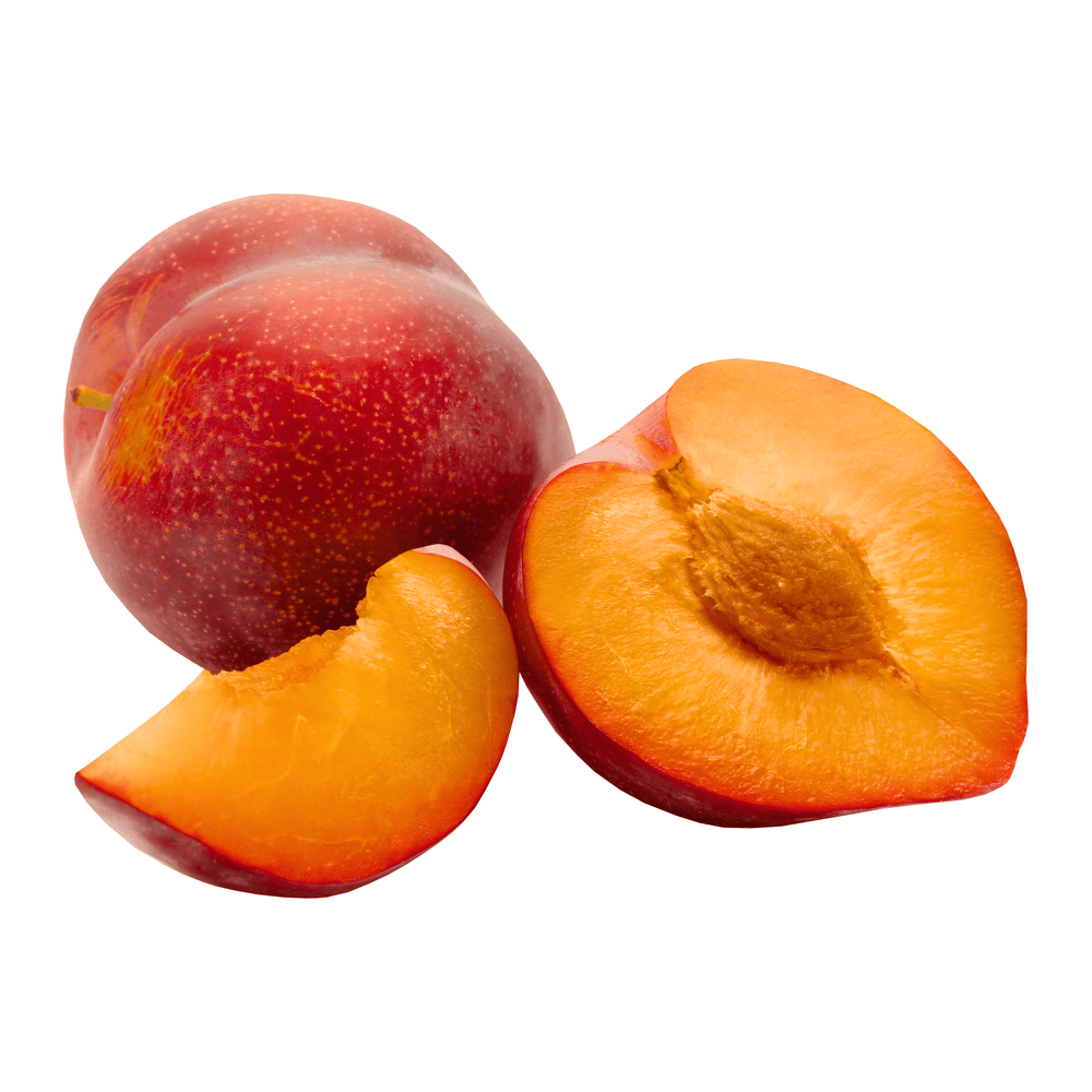 Plum - Fall Fiesta