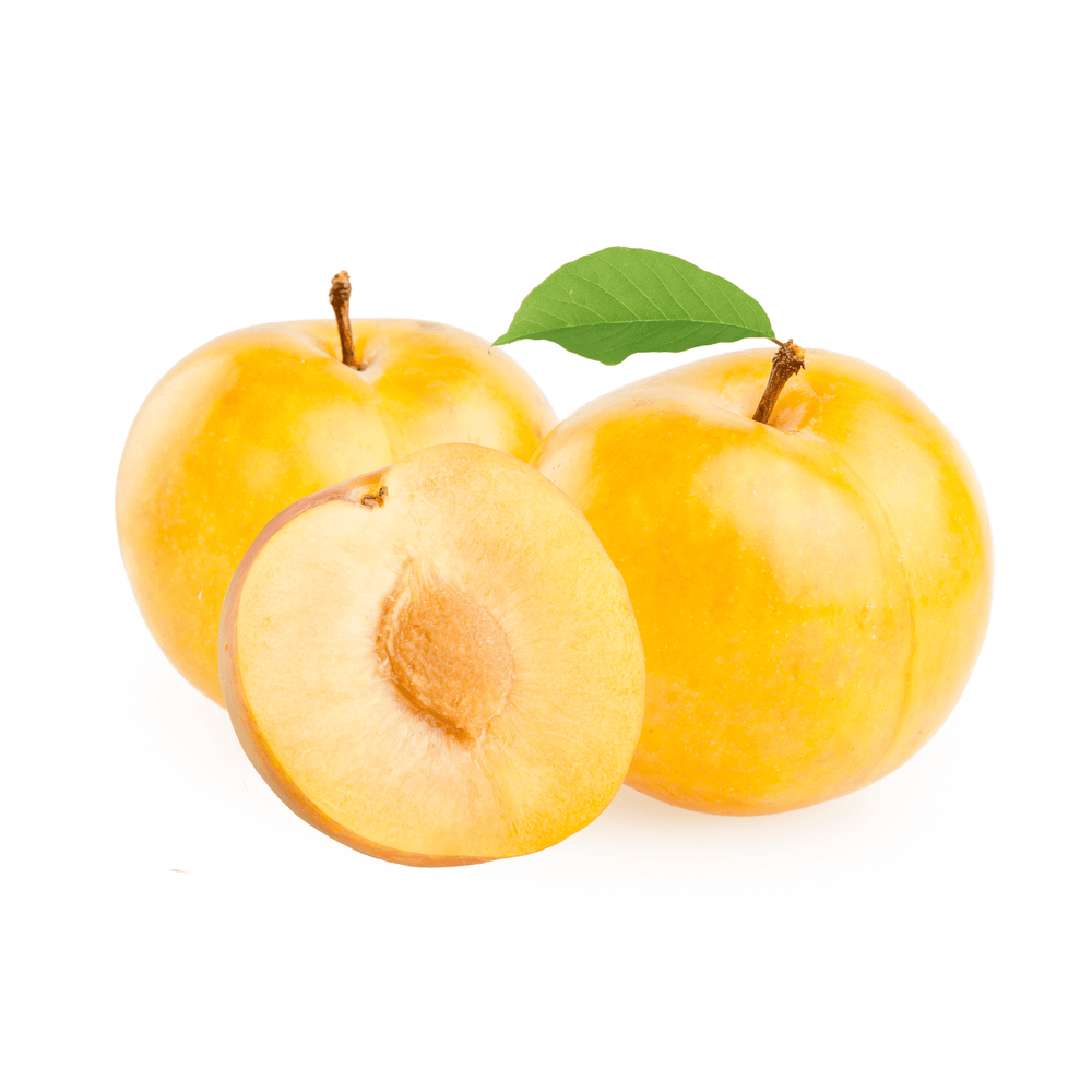 Plum - Songold