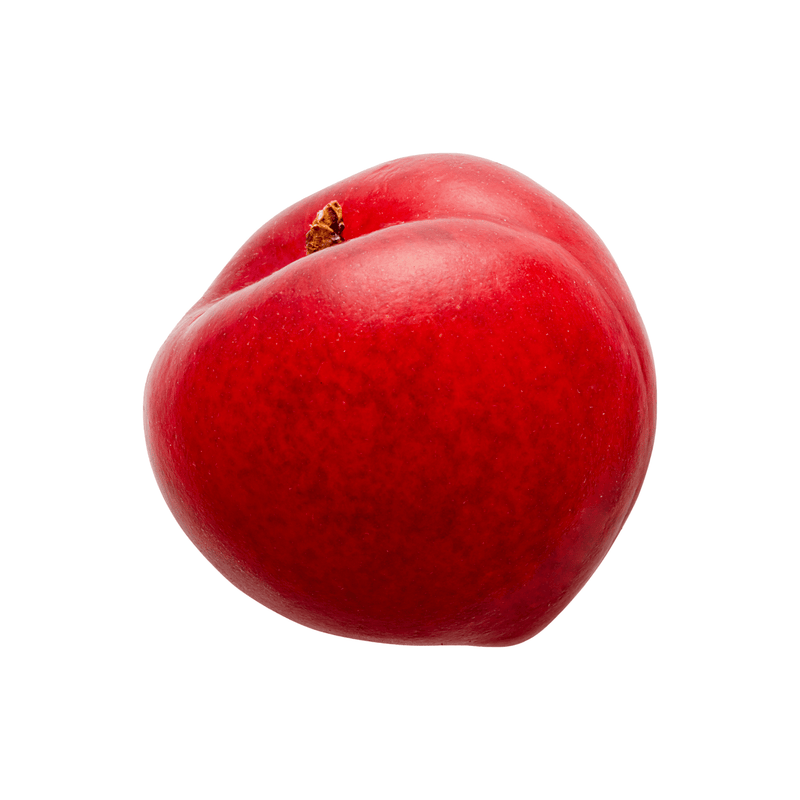 Plum - Southern Belle
