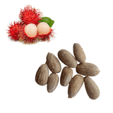 Rambutan Seeds